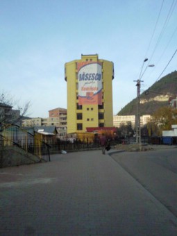 Basescu Basescu