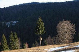 Avem o tara frumoasa, pacat ca…