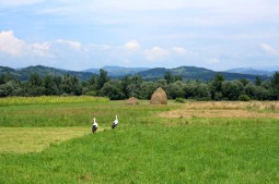Moldova si Maramures, azi ce se vede in pliante