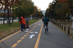 Biclele gratis intra in hibernare