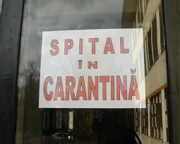 Dacă toți da, eu de ce nu?!