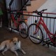 „La Pedale” – primul bike-sharing gratuit din România