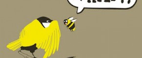 About birds and bees