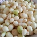 Mâncare de Allium schoenoprasum cu măsline