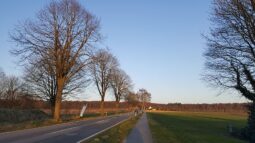 Drumuri rurale cu bandă pentru biciclete