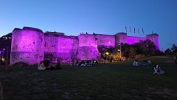 Cetatea-castel din Caen