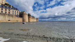 Noroaiele saintmișelului