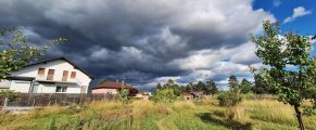 Când relele lumii te ajung și-n paradis gradina