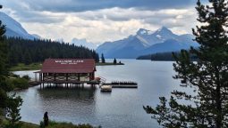Tot Medicine Lake
