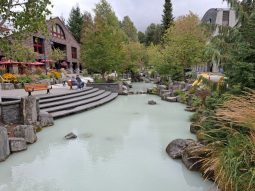 Amenajare peisagistică în Whistler